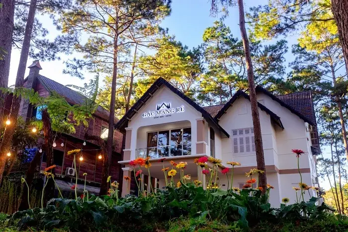 Khám Phá Khách Sạn Măng Đen: Điểm Dừng Chân Lý Tưởng Cho Kỳ Nghỉ Thư Giãn Và Trải Nghiệm Văn Hóa Độc Đáo