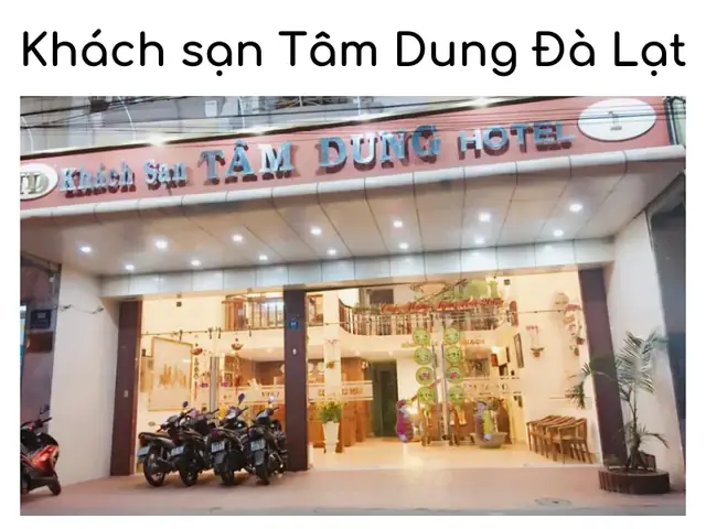Khách Sạn Tâm Dung Đà Lạt: Trải Nghiệm Sang Trọng Giữa Thiên Nhiên Hùng Vĩ