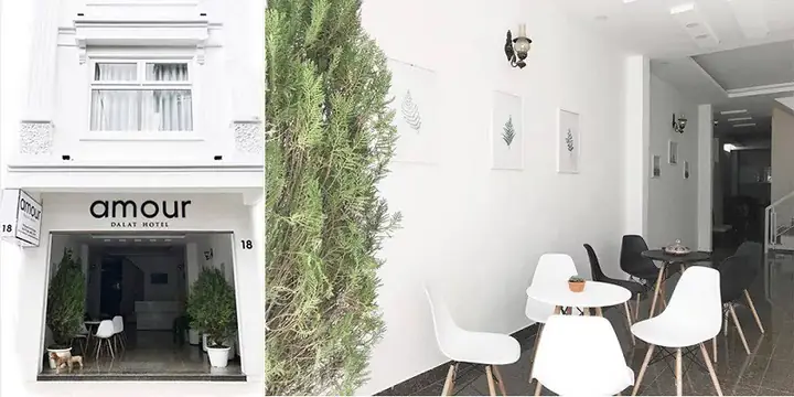 Khách Sạn Amour Đà Lạt – Điểm Dừng Chân Lý Tưởng Cho Những Kẻ Yêu Đam Mê Thành Phố Sương Mù