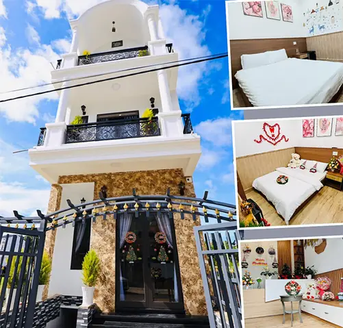 Khám Phá Khách Sạn An Vy Đà Lạt – Nơi Giao Thoa Giữa Thiên Nhiên Và Sang Trọng