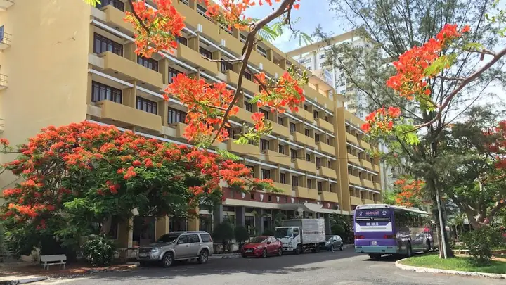 Khách Sạn Cao Su Vũng Tàu: Nơi Hòa Quyện Giữa Đẳng Cấp Và Hòa Bình Khách Sạn Cao Su Vũng Tàu: Nơi Hòa Quyện Giữa Đẳng Cấp Và Hòa Bình