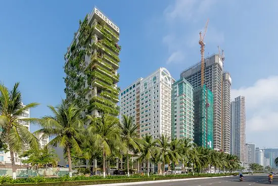 Khách Sạn Cây Xanh – Nơi Giao Hòa Giữa Thiên Nhiên Và Đẳng Cấp Khách Sạn Cây Xanh – Nơi Giao Hòa Giữa Thiên Nhiên Và Đẳng Cấp