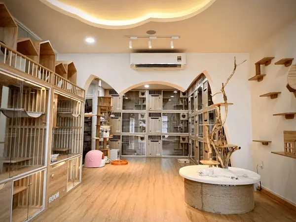 Khách Sạn Chó Mèo: Hành Trình Chăm Sóc Và Khám Phá Thế Giới Thú Cưng Khách Sạn Chó Mèo: Hành Trình Chăm Sóc Và Khám Phá Thế Giới Thú Cưng