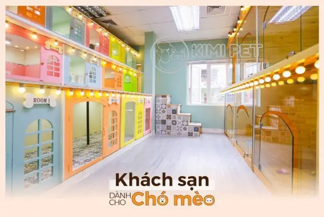 Khách Sạn Cho Thú Cưng: Nơi An Lành Cho Bạn Và Thú Cưng Của Mình Khách Sạn Cho Thú Cưng: Nơi An Lành Cho Bạn Và Thú Cưng Của Mình