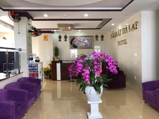 Khách Sạn Đồi Mây Đà Lạt – Trải Nghiệm Thăng Hoa Giữa Mây Sương Và Thiên Nhiên Hùng Vĩ Khách Sạn Đồi Mây Đà Lạt – Trải Nghiệm Thăng Hoa Giữa Mây Sương Và Thiên Nhiên Hùng Vĩ