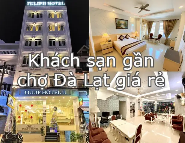 Khách Sạn Gần Chợ Đà Lạt Giá Rẻ: Hướng Dẫn Lựa Chọn Và Lợi Ích Khi Du Lịch Khách Sạn Gần Chợ Đà Lạt Giá Rẻ: Hướng Dẫn Lựa Chọn Và Lợi Ích Khi Du Lịch