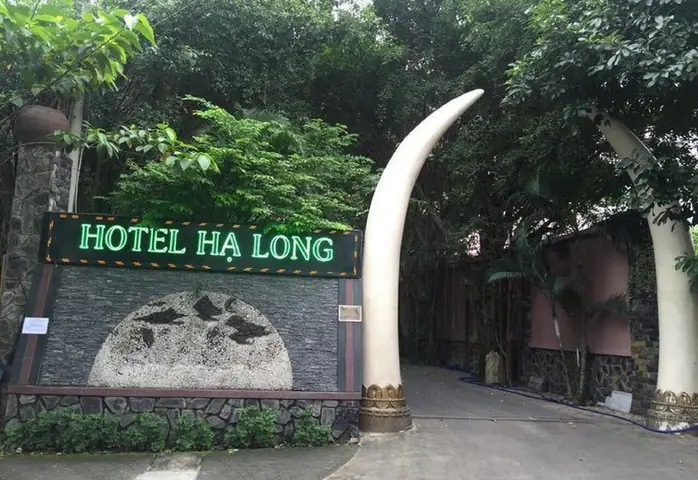 Khám Phá Khách Sạn Hạ Long Thủ Đức: Nơi Giao Thoa Giữa Sang Trọng Và Thiên Nhiên Khám Phá Khách Sạn Hạ Long Thủ Đức: Nơi Giao Thoa Giữa Sang Trọng Và Thiên Nhiên
