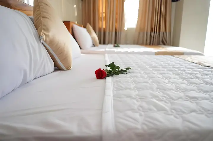 Khách Sạn Hoài Anh Vũng Tàu: Nơi Hòa Quyện Giữa Sự Tiện Lợi Và Hương Vị Thần Kỳ Khách Sạn Hoài Anh Vũng Tàu: Nơi Hòa Quyện Giữa Sự Tiện Lợi Và Hương Vị Thần Kỳ