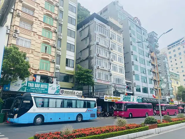 Khách Sạn Thái Bảo Cát Bà – Nơi Hòa Trộn Hương Giang Và Nét Đẹp Tự Nhiên Khách Sạn Thái Bảo Cát Bà – Nơi Hòa Trộn Hương Giang Và Nét Đẹp Tự Nhiên