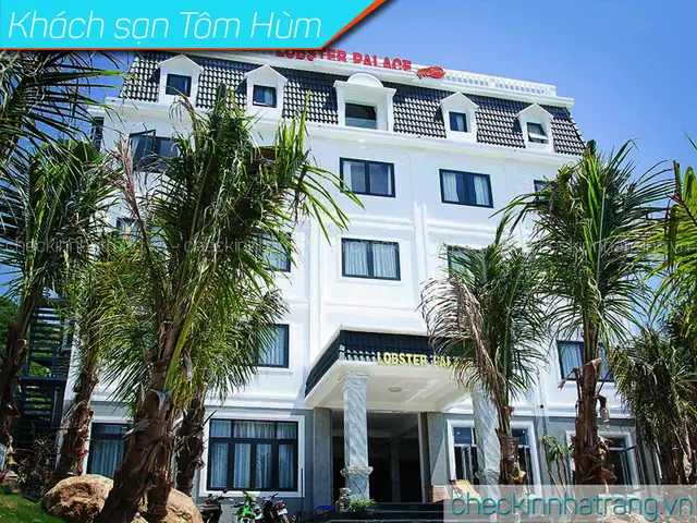Khách Sạn Tôm Hùm Bình Ba – Nơi Hội Tụ Hương Vị Biển Và Lãng Mạn Việt Nam Khách Sạn Tôm Hùm Bình Ba – Nơi Hội Tụ Hương Vị Biển Và Lãng Mạn Việt Nam
