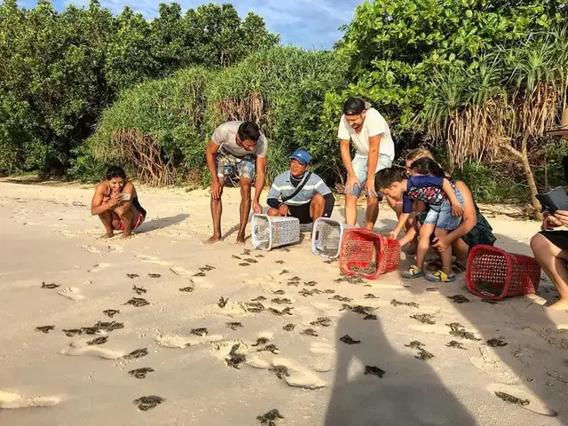 Ăn Chơi Gì Ở Côn Đảo Ăn Chơi Gì Ở Côn Đảo
