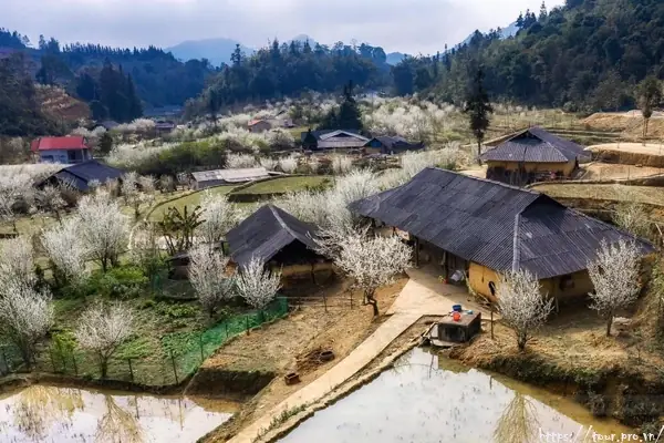 Bắc Hà Lào Cai Có Gì Bắc Hà Lào Cai Có Gì