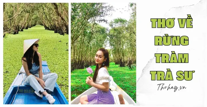 Bài Thơ Về Rừng Tràm Trà Sư Bài Thơ Về Rừng Tràm Trà Sư