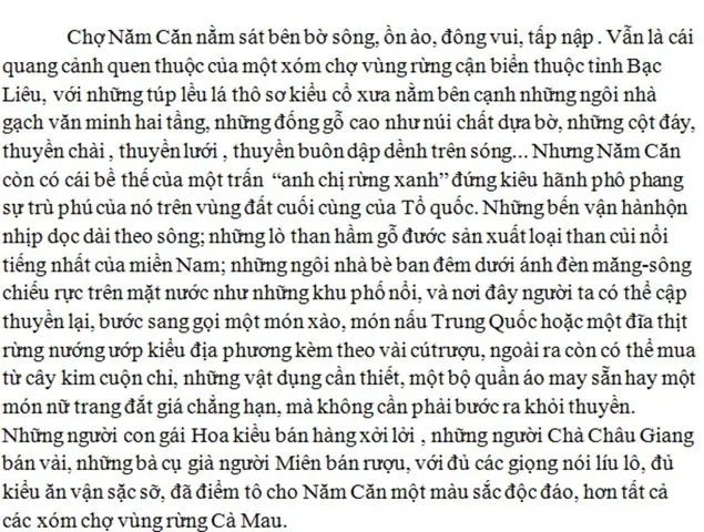 Bài Văn Tả Sông Thu Bồn