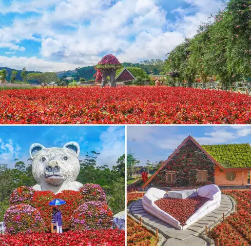 Bạn Có Thể Làm Gì Ở Đà Lạt Bạn Có Thể Làm Gì Ở Đà Lạt