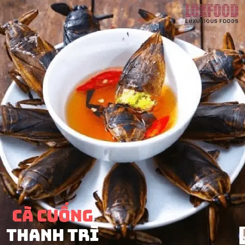 Bánh Cuốn Thanh Trì Cà Cuống Bánh Cuốn Thanh Trì Cà Cuống