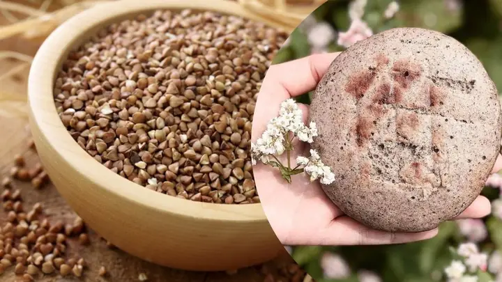 Bánh Tam Giác Mạch Làm Từ Gì Bánh Tam Giác Mạch Làm Từ Gì