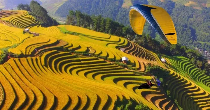 Bay Dù Lượn Mù Cang Chải