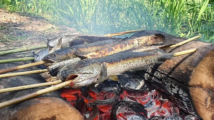 Cá Lóc Nướng Trui Miền Tây