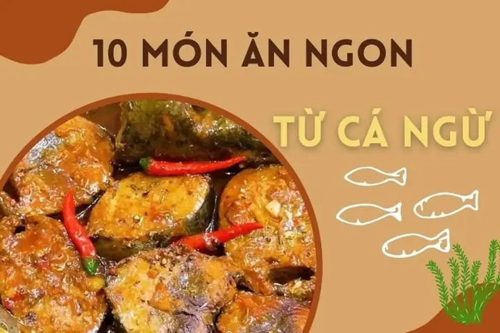 Cá Ngừ Đại Dương Làm Món Gì Ngon