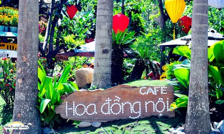 Cà Phê Hoa Đồng Nội Nha Trang