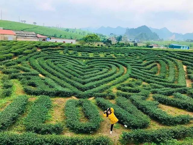 Các Điểm Tham Quan Mộc Châu Các Điểm Tham Quan Mộc Châu