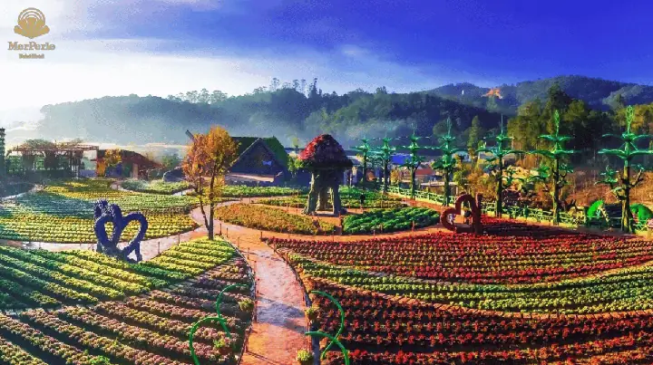 Các Làng Hoa Ở Đà Lạt Các Làng Hoa Ở Đà Lạt