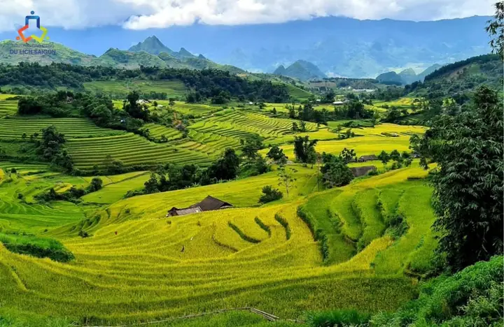 Các Loại Hình Du Lịch Bền Vững Các Loại Hình Du Lịch Bền Vững