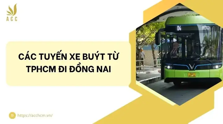 Các Tuyến Xe Buýt Từ Tphcm Đi Đồng Nai Các Tuyến Xe Buýt Từ Tphcm Đi Đồng Nai