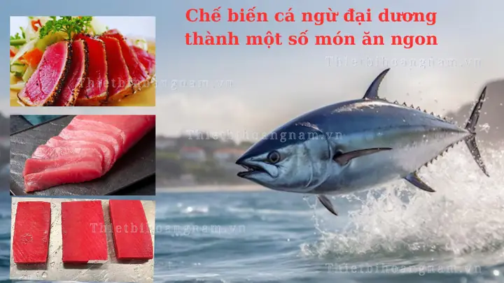Cách Chế Biến Cá Ngừ Đại Dương Cách Chế Biến Cá Ngừ Đại Dương