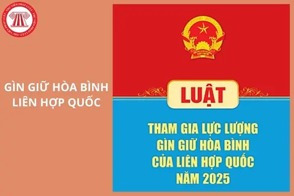 Cam Hòa Bình Giá Bao Nhiêu Cam Hòa Bình Giá Bao Nhiêu