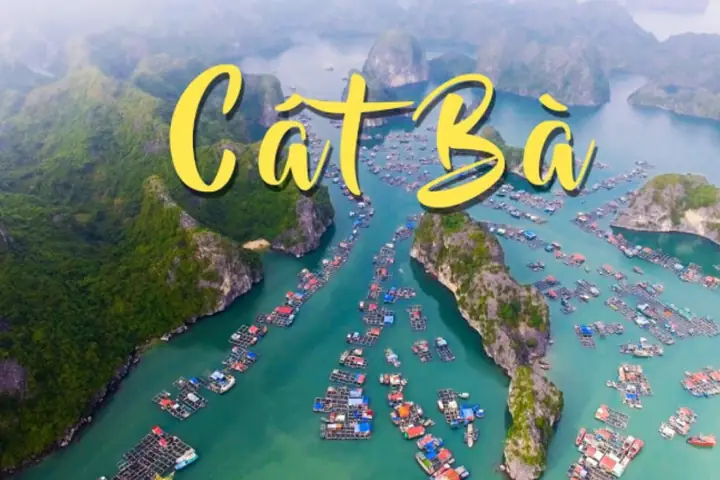 Cẩm Nang Du Lịch Cát Bà