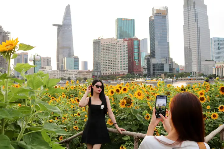 Cánh Đồng Hoa Hướng Dương Ở Đâu Cánh Đồng Hoa Hướng Dương Ở Đâu
