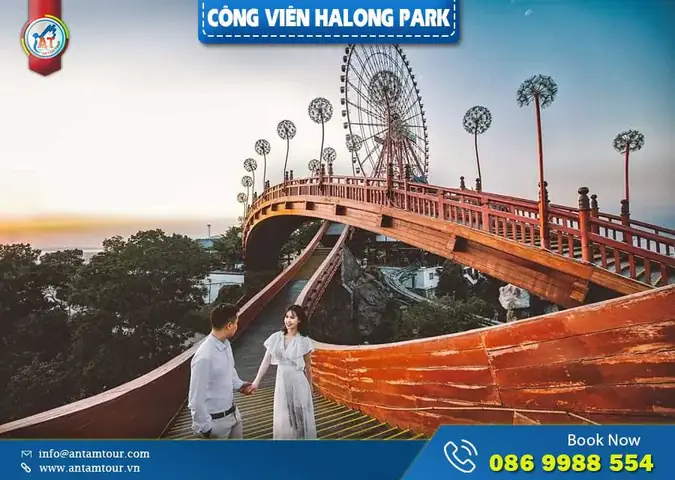 Cáp Treo Nữ Hoàng Và Khu Đồi Huyền Bí