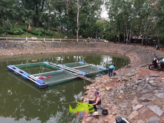 Câu Cá Công Viên Lê Thị Riêng Câu Cá Công Viên Lê Thị Riêng
