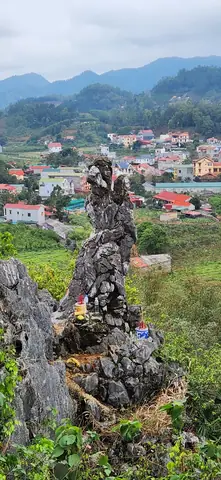 Câu Chuyện Về Nàng Tô Thị Câu Chuyện Về Nàng Tô Thị