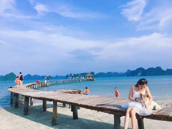 Cầu Gỗ Bãi Dài Vân Đồn Cầu Gỗ Bãi Dài Vân Đồn