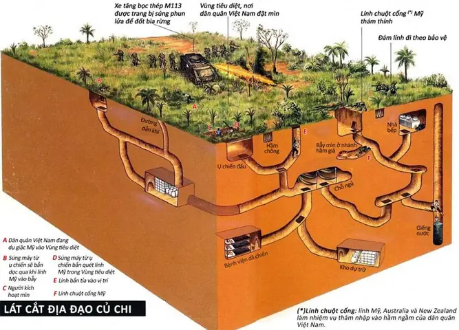 Cấu Trúc Của Địa Đạo Củ Chi Cấu Trúc Của Địa Đạo Củ Chi