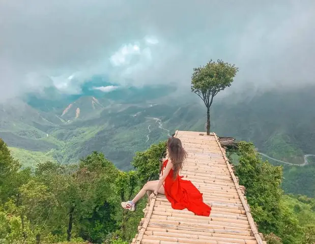 Cây Cô Đơn Ô Quy Hồ