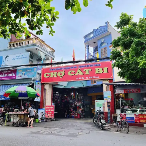 Chợ Cát Bi Mấy Giờ Đóng Cửa Chợ Cát Bi Mấy Giờ Đóng Cửa