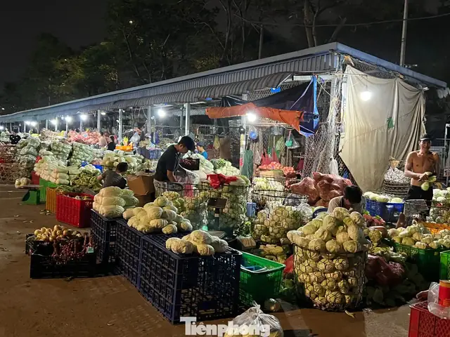 Chợ Đầu Mối Thủ Đức Thành Phố Hồ Chí Minh Chợ Đầu Mối Thủ Đức Thành Phố Hồ Chí Minh