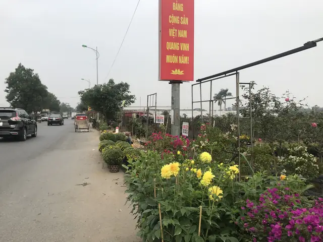 Chợ Hoa Mê Linh Vĩnh Phúc Chợ Hoa Mê Linh Vĩnh Phúc