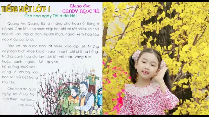 Chợ Hoa Ngày Tết Ở Hà Nội Chợ Hoa Ngày Tết Ở Hà Nội