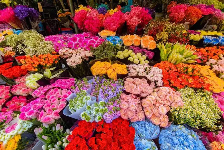 Chợ Hoa Quảng An Mở Lúc Mấy Giờ Chợ Hoa Quảng An Mở Lúc Mấy Giờ