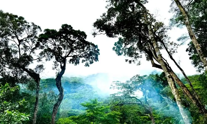 Chư Yang Sin Buôn Ma Thuột Chư Yang Sin Buôn Ma Thuột