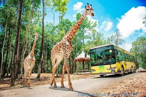 Có Nên Đi Safari Phú Quốc