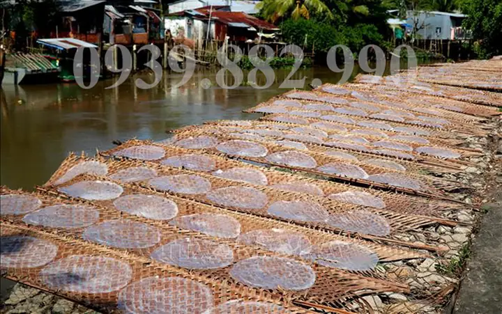 Cơ Sở Bánh Tráng Tây Ninh Cơ Sở Bánh Tráng Tây Ninh