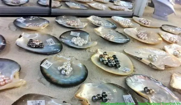 Cơ Sở Nuôi Cấy Ngọc Trai Phú Quốc Cơ Sở Nuôi Cấy Ngọc Trai Phú Quốc