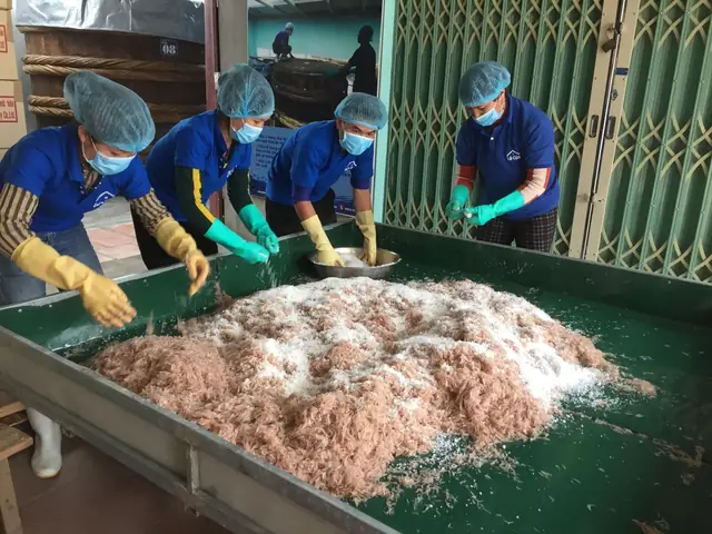 Cơ Sở Sản Xuất Mắm Tôm Cơ Sở Sản Xuất Mắm Tôm