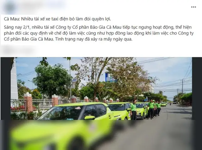Công Ty Cổ Phần Open99 Gia Định Công Ty Cổ Phần Open99 Gia Định